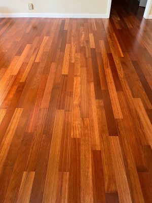 Kempas 1