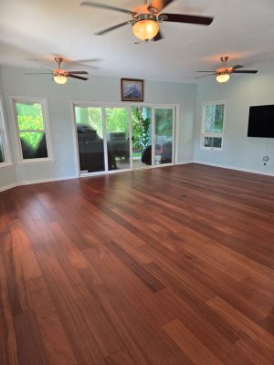 Sapele 1