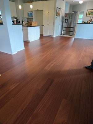 Sapele 2