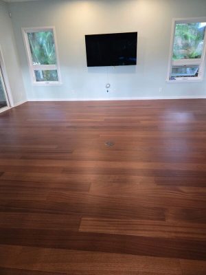 Sapele 3
